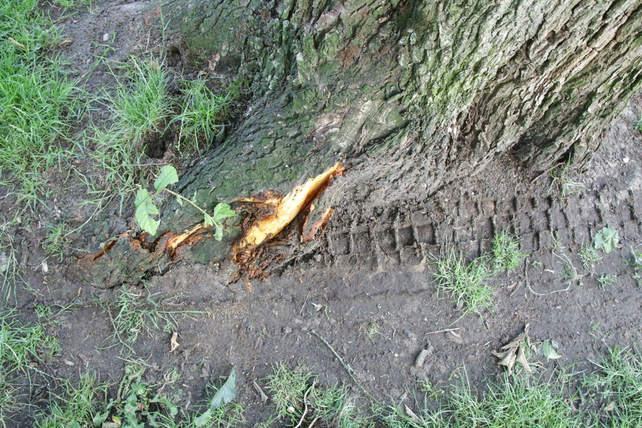 ernstige schade door een evenement in het park