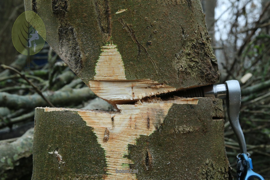 Jonko in de boom