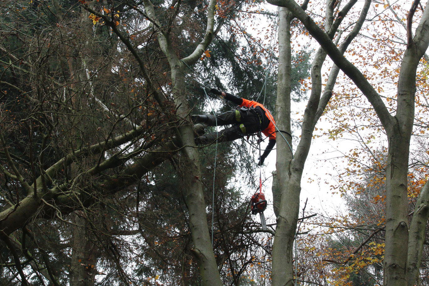 Veiligheid survivalrun: stormhout