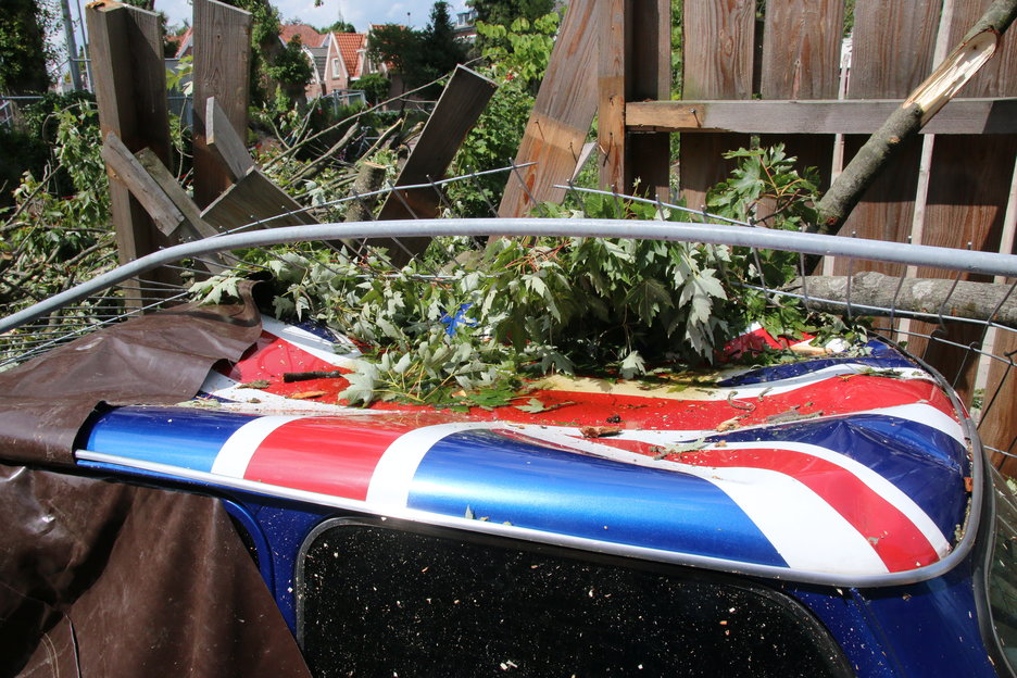 Midden in Meppel is een grote boom omgewaaid, hoe kan dat nou?