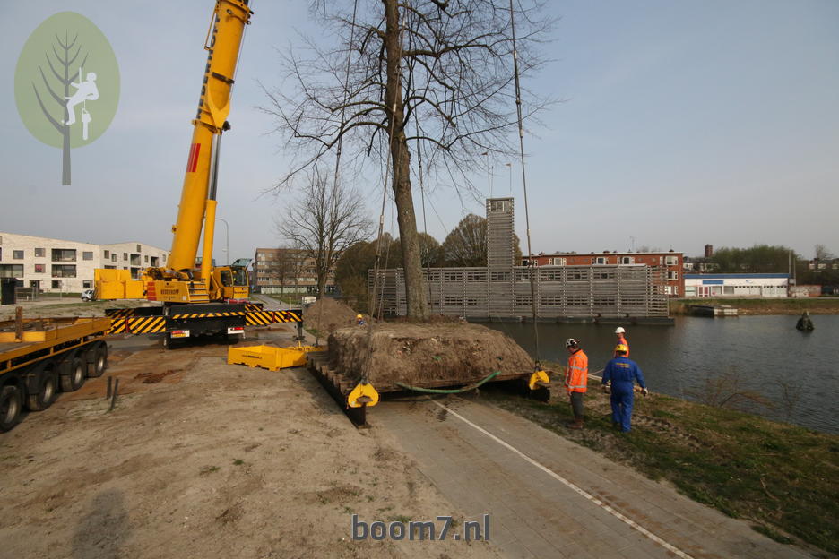 de last is te zwaar, de boom maakt een 'tussenstapje'