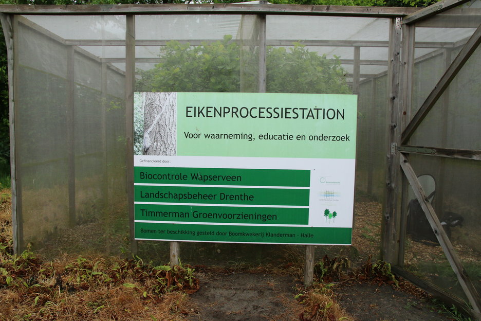 eikenprocessierups proefstation in Dieverbrug (Dr.)