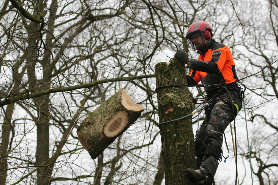 kappen - val deel 3 - gericht laten vallen