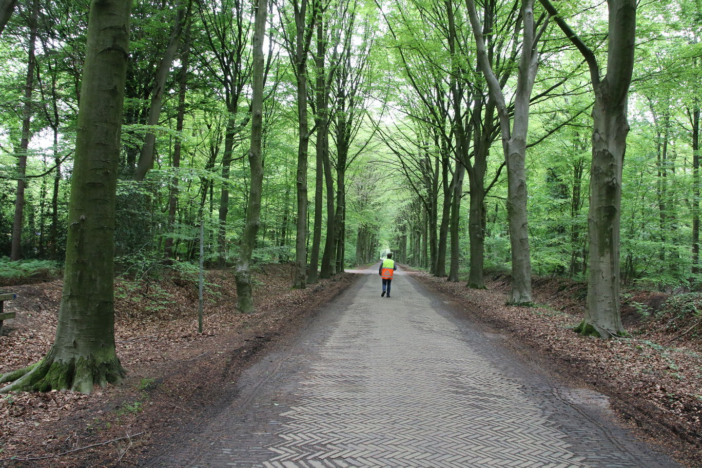 aan de andere kant: verkeersregelaar