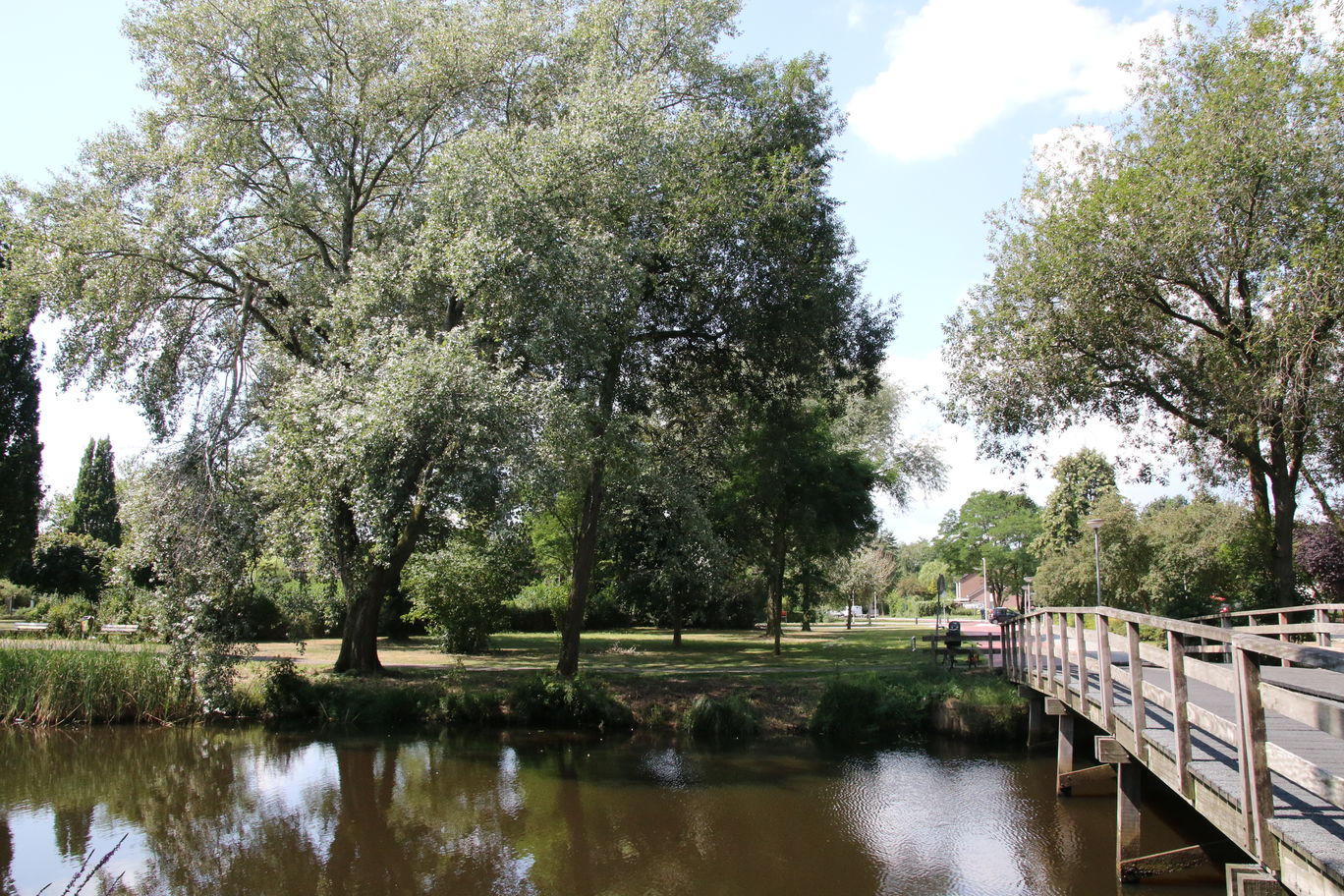 Midden in Meppel boven de Reest