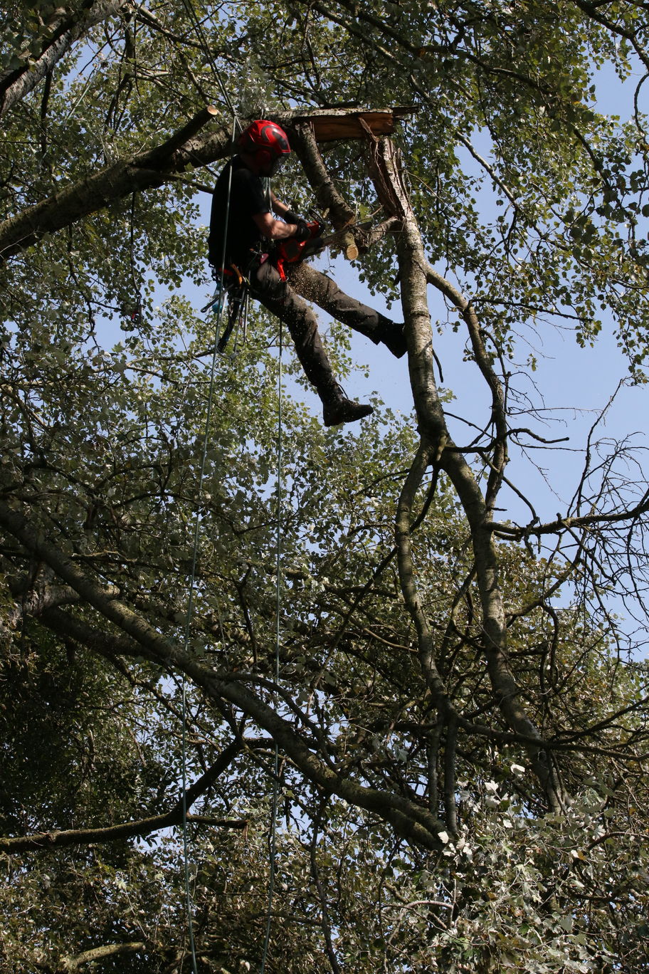 loszagen stormhout