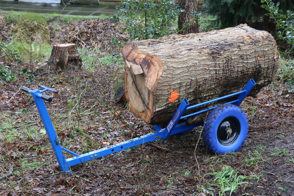 Review: Stein Arbor Trolley - hout, stamdelen, takken en klimmeuk verplaatsen & verslepen op spierkracht