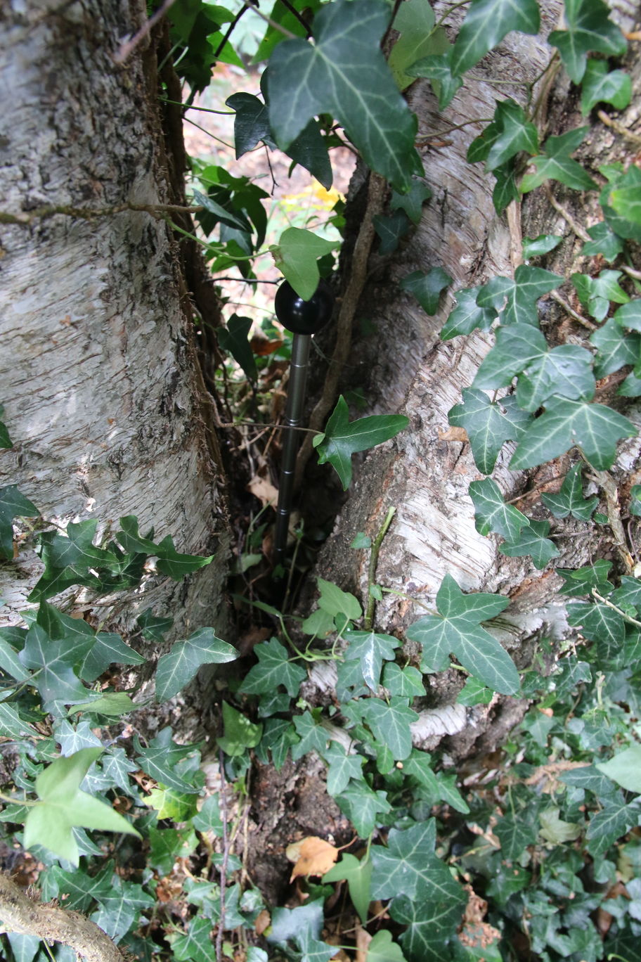 B1:prikstok kan tientallen centimeters de grond ingestoken worden, geen hout en geen wortels!