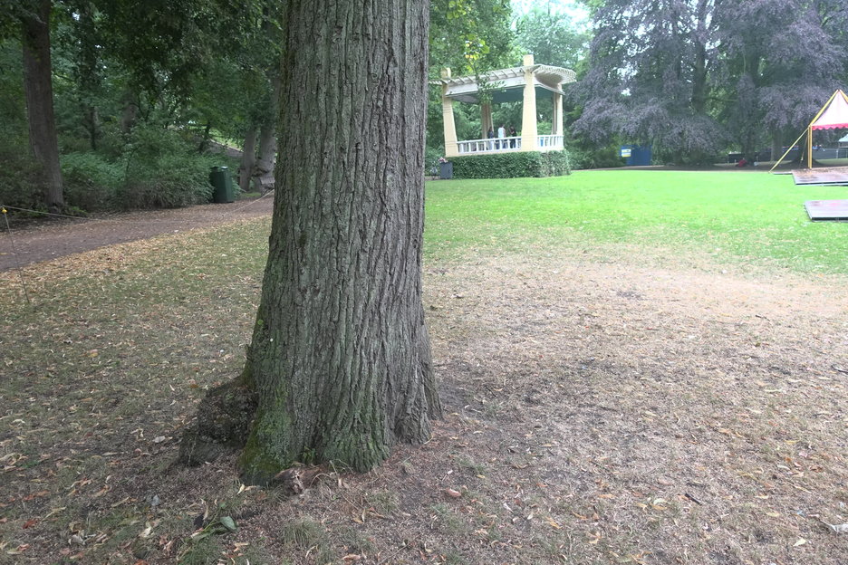 16:32:18 - boom met zwam