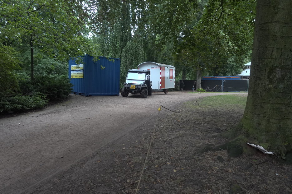 17:00:13 - beuken met vruchtlichamen