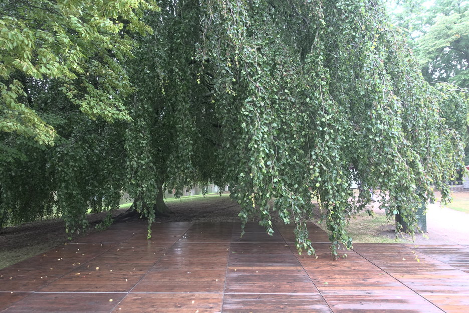 17:20:59 - binnen kwetsbare zone veel publiek