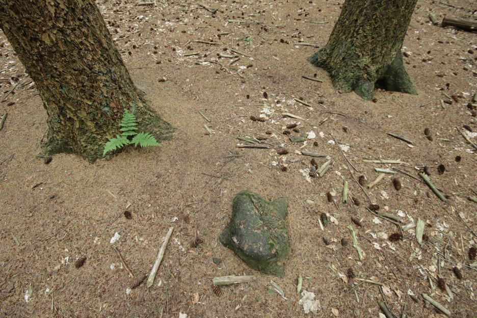 en volledig overwald, dus beschermd