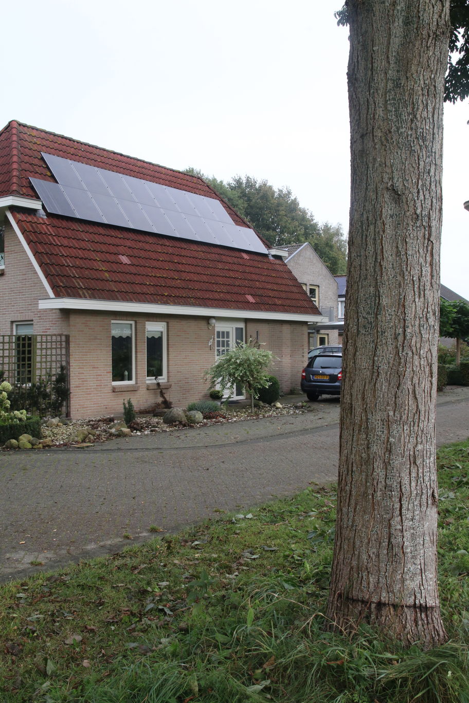 boom vernield (geringd) en zonnepanelen in Meppel 1