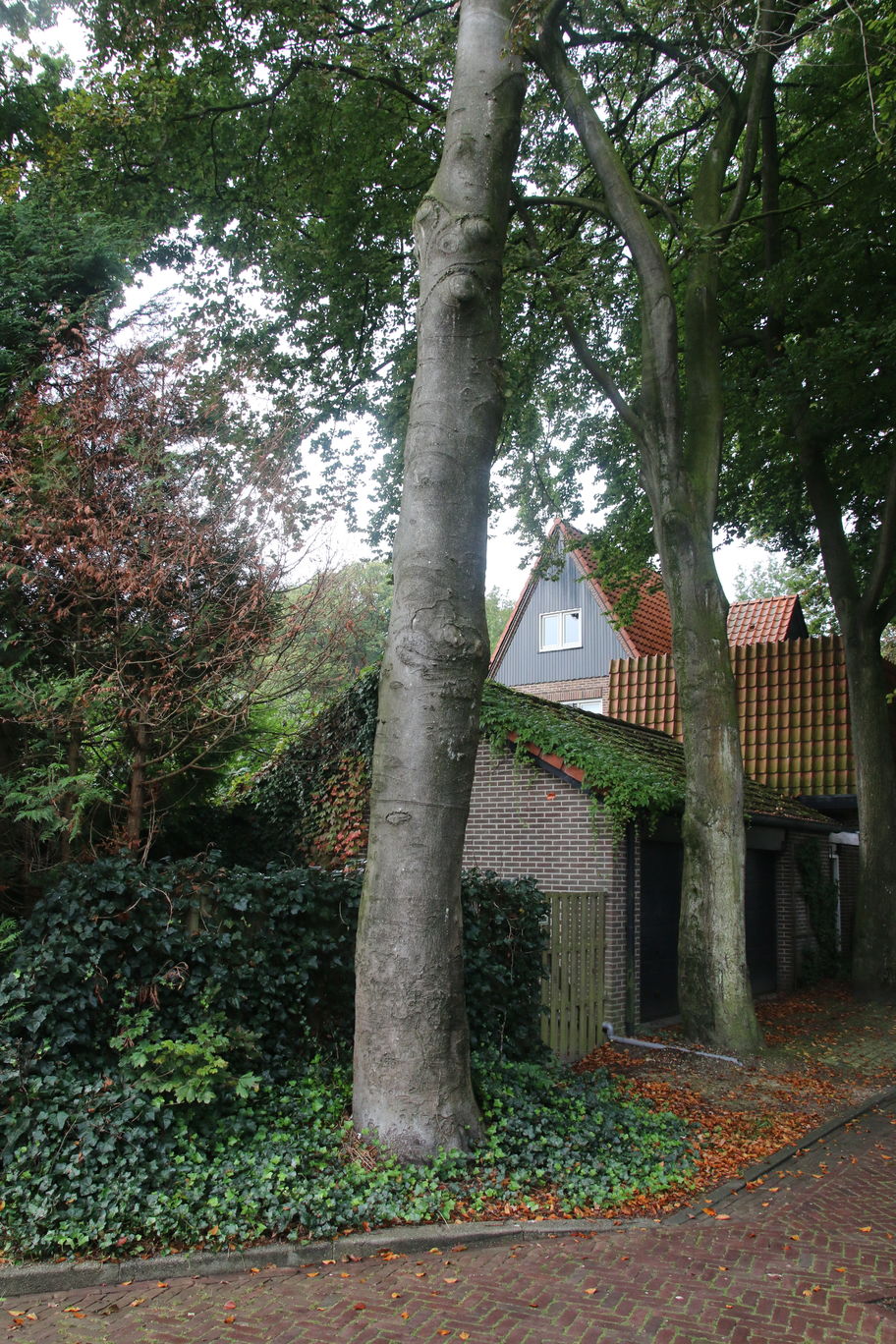 obj_9644.jpg